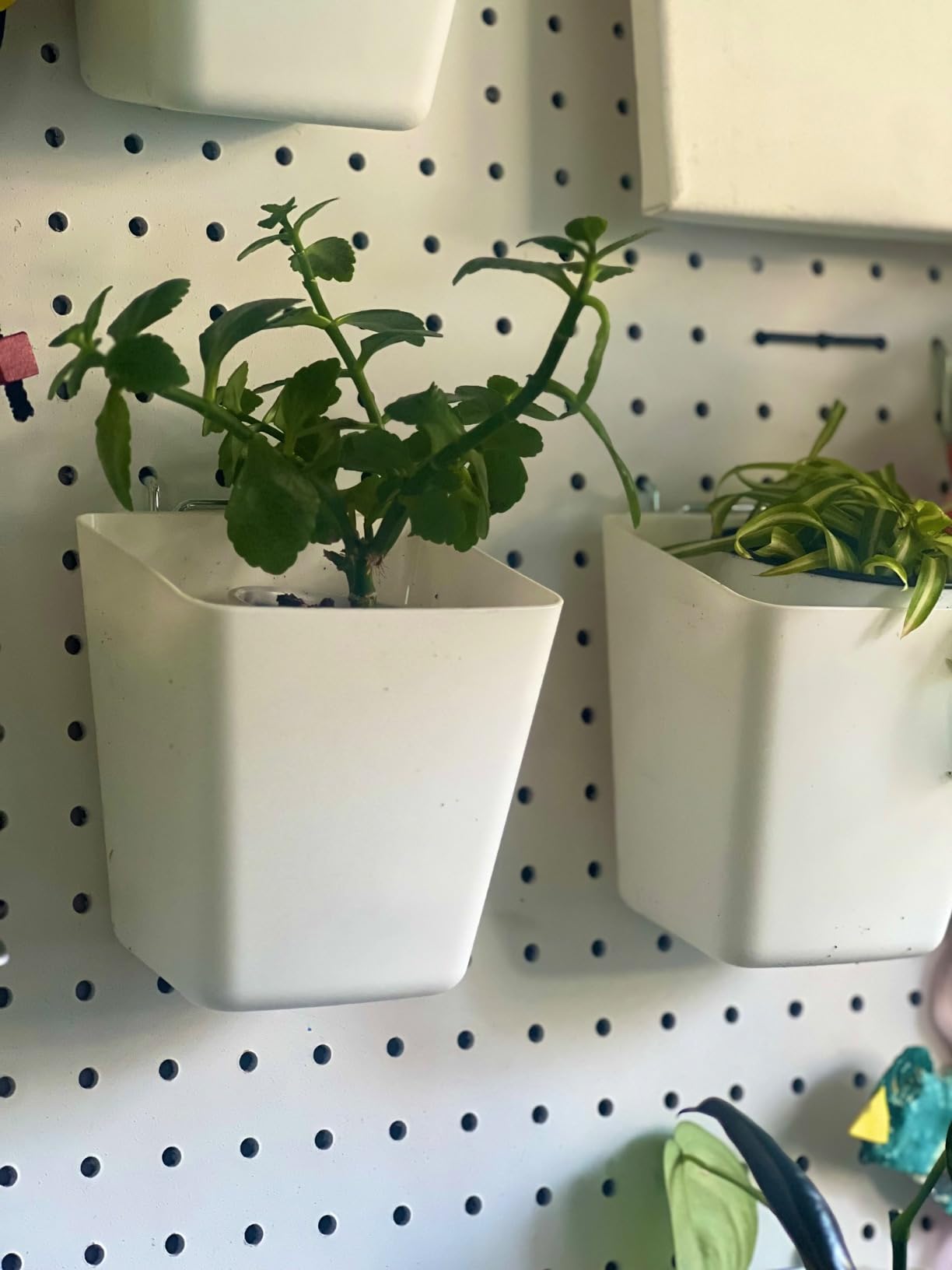 Clear Large Pegboard Cups, 6Pack Peg Board Square Storage Bins With Hooks customer photo 1