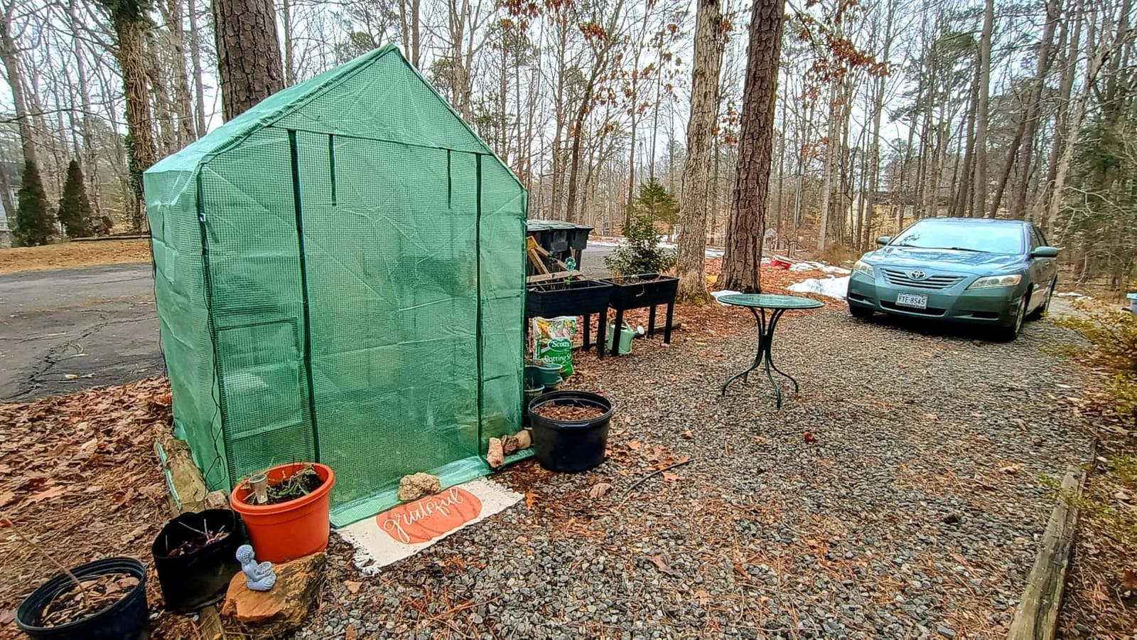SPECILITE 56×56×78Inch Walk-in Greenhouse for Outdoors Garden Plant, Green customer photo 1