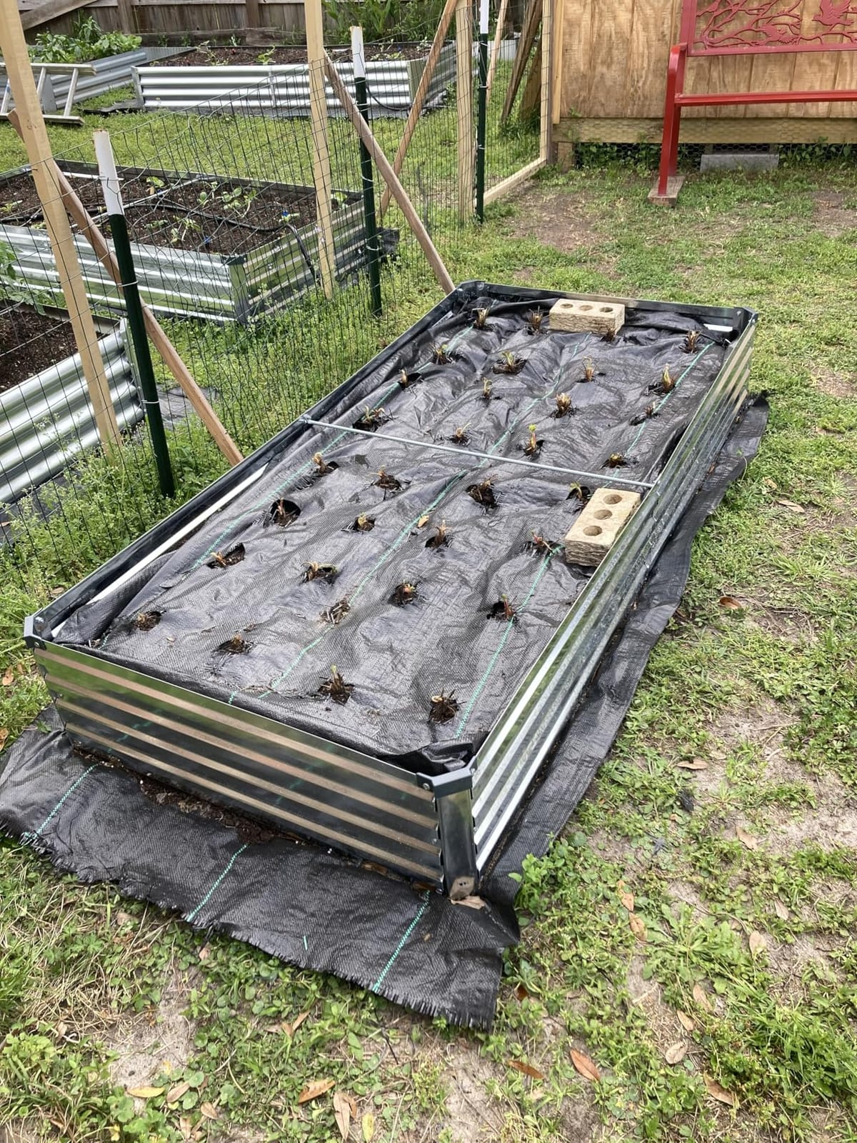 Meberam 2 Pack 6x3x1FT Galvanized Raised Garden Beds Kit Outdoor Metal Gardening Planter Box for Vegetable Elevated Flower Herbs,Silver customer photo 2