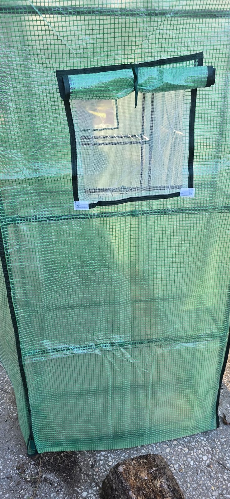 Greengro Greenhouse, 28 x 57 x 76'' Walk in Greenhouses for Outdoors Indoor customer photo 1