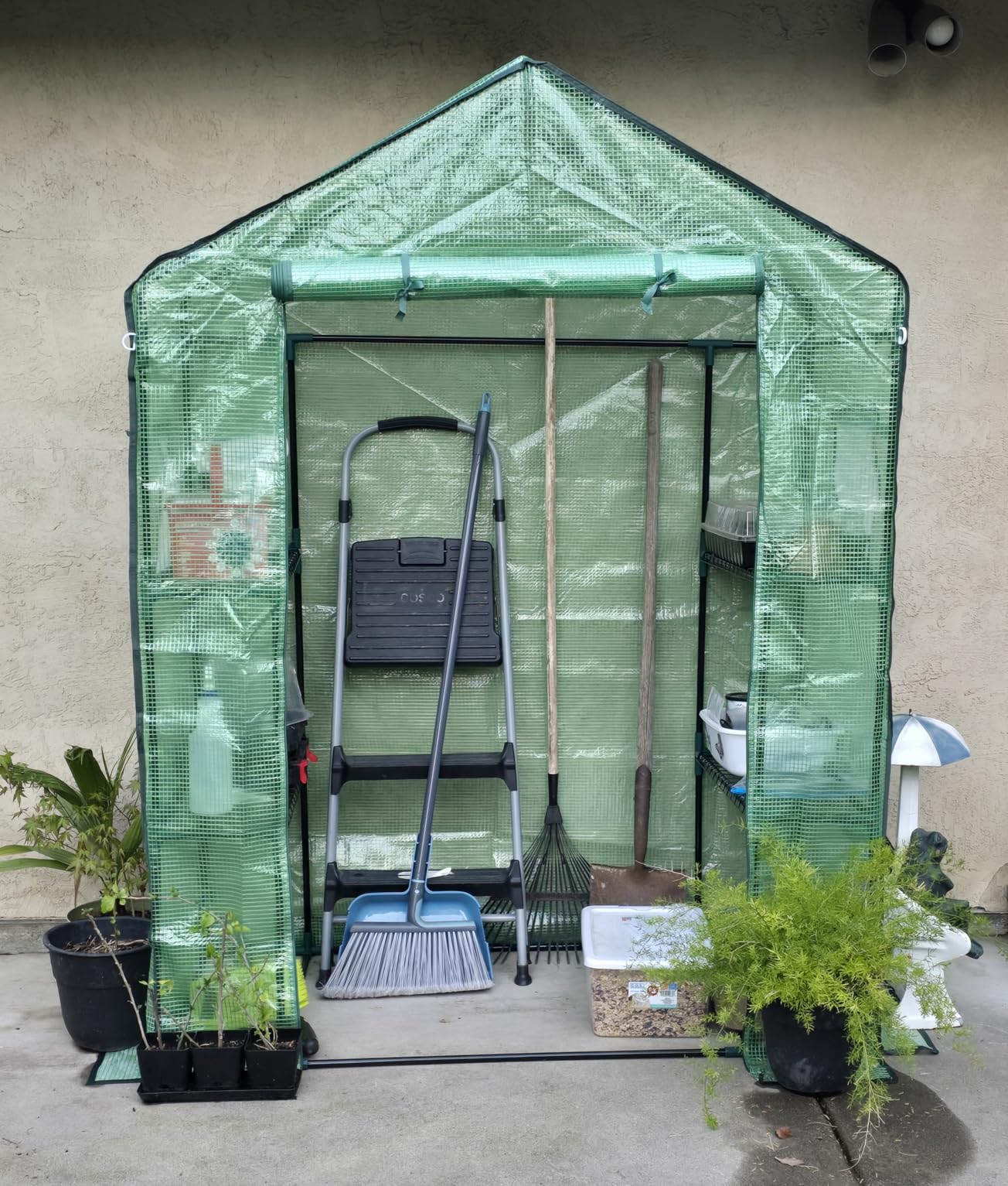 Greengro Greenhouse, 28 x 57 x 76'' Walk in Greenhouses for Outdoors Indoor customer photo 2