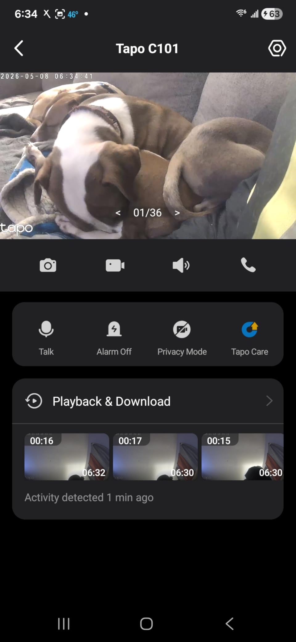Tapo 1080P Indoor Security Camera, Baby Monitor, Dog Camera, C101 customer photo 1