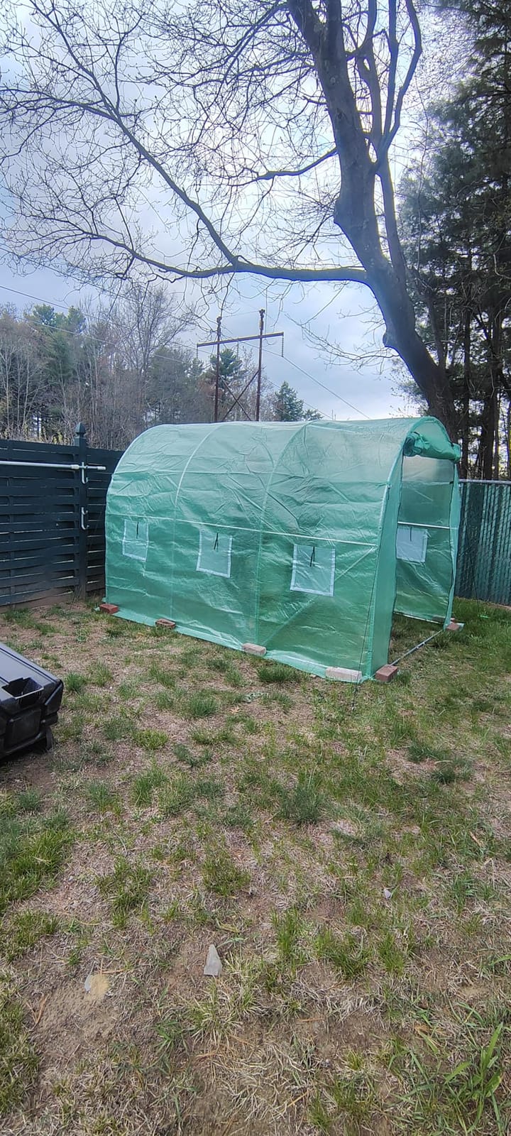 VEVOR Walk-in Tunnel Greenhouse, 9.6x6.4x6.2 ft Hoop House Greenhouse Tunnel, Plant Hot House with Galvanized Steel Frame, Green PE Cover, Roll-up Zipper Door and 6 Windows for Outdoor customer photo 2