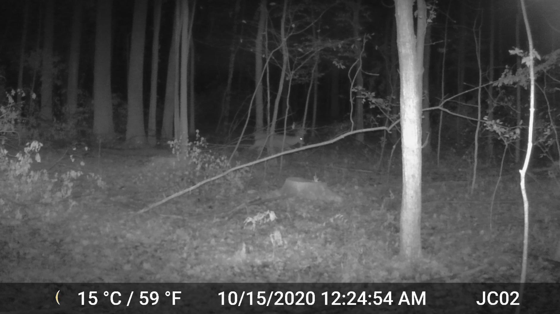 GardePro A3S 2-Pack Non-Cellular Trail Camera, 1296P HD Video with Sound customer photo 2