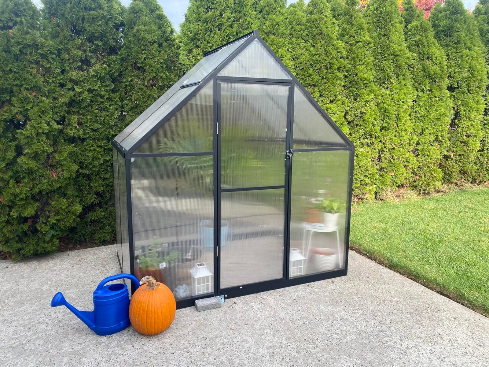 8X10FT Greenhouse with Thermometers, Large Aluminum Greenhouse for Outdoors customer photo 2