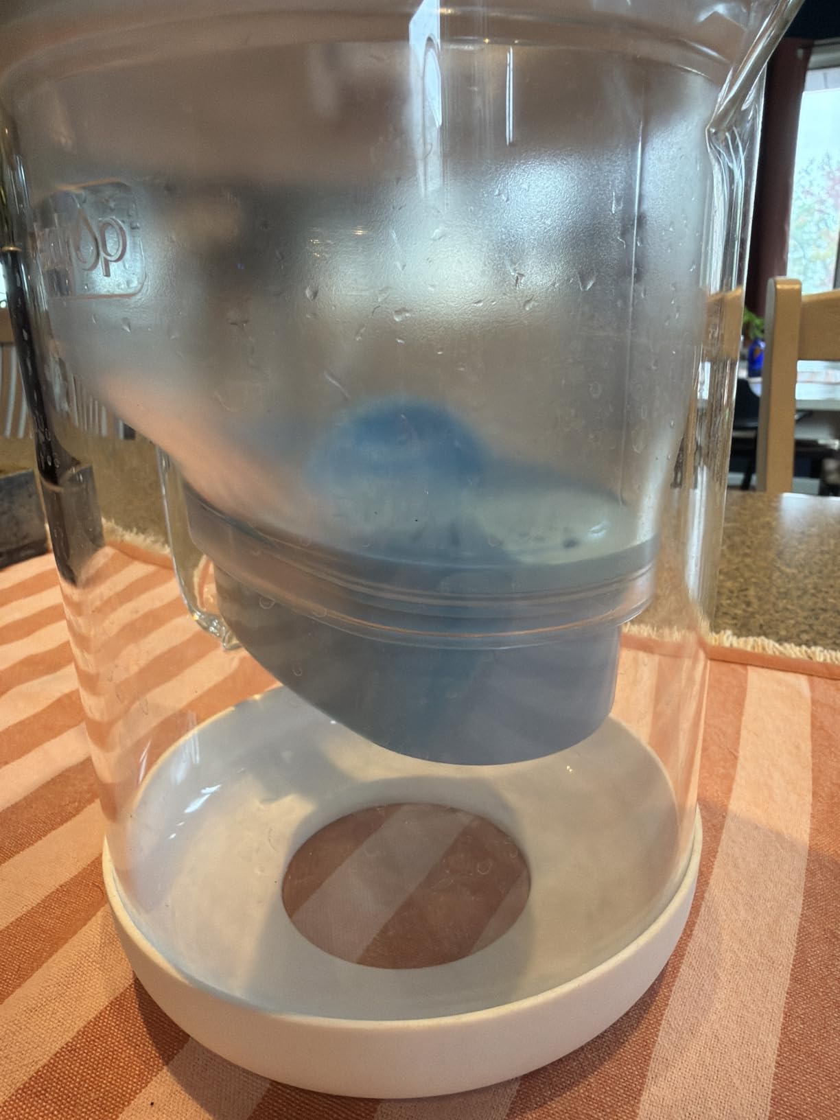Waterdrop PT-72C-A Glass Alkaline Water Filter Pitcher, 7-Cup, Blue customer photo 2