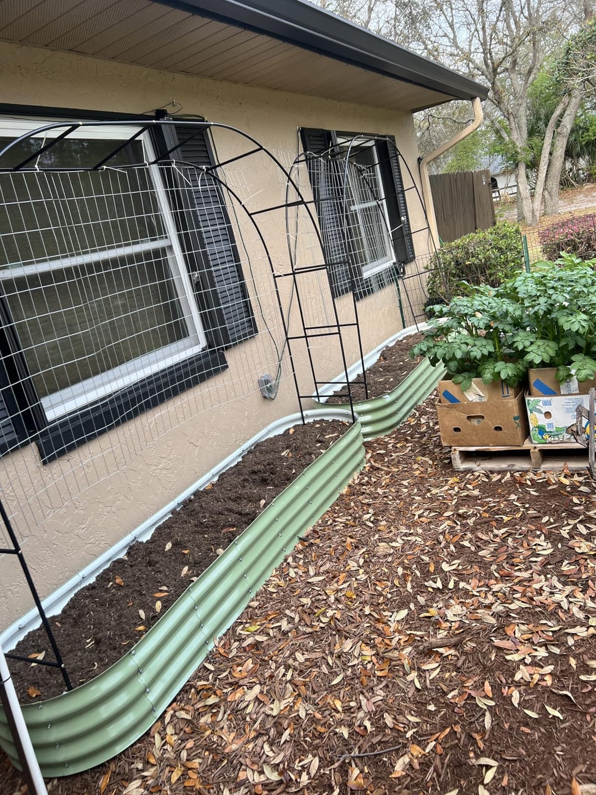 Winpull Raised Garden Bed Kit, 5x2x1 ft Galvanized Planter Box Outdoor with Safety Edging, Large Metal Raised Beds for Gardening Vegetables Flower Fruits (Avocado Green) customer photo 1