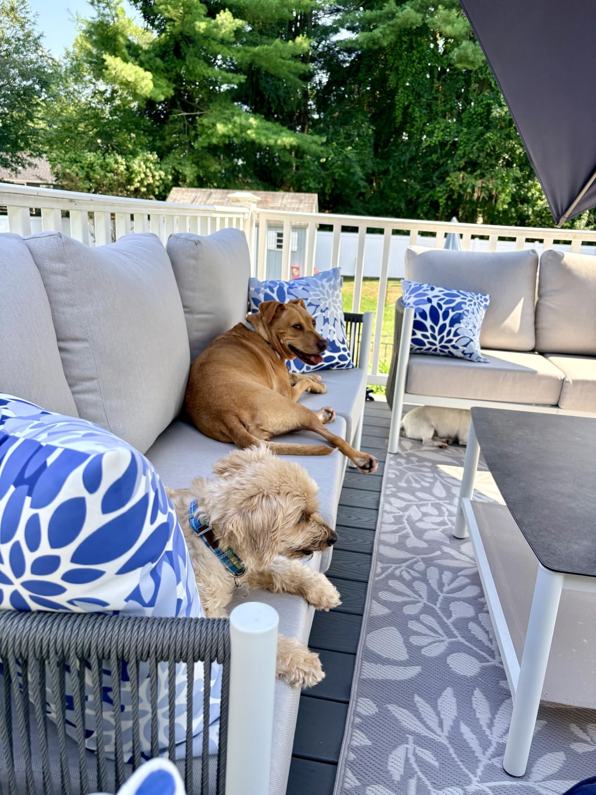 Aluminum Outdoor Patio Furniture Set with Dual-Layer Coffee Table, 4 Piece Modern Patio Conversation Sets with PE Rope, Outdoor Sectional Sofa with Thick Cushions for Balcony, Porch, Gray customer photo 1