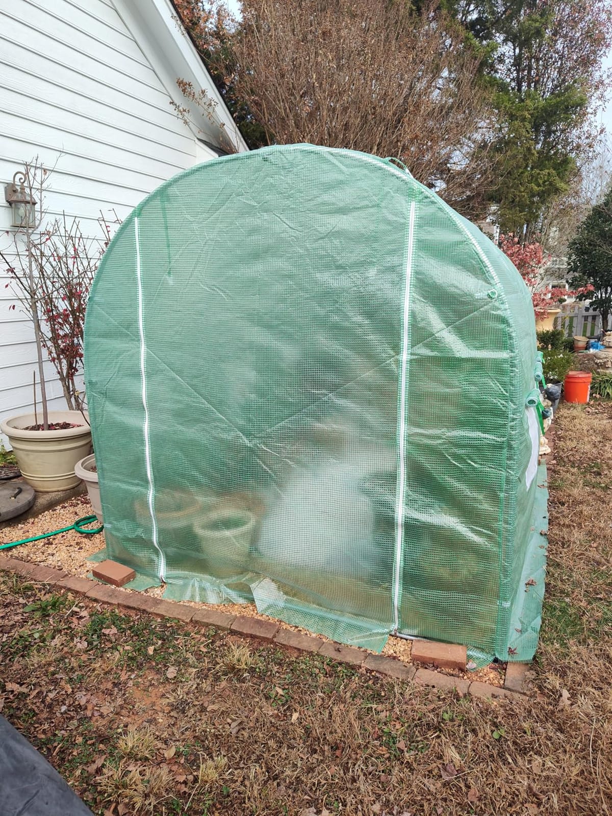 YITAHOME 6x16FT Polycarbonate Greenhouse Large Heavy Duty Green Houses Outdoor Aluminum Greenhouses with Sliding Doors Vent Window Walk-in Greenhouse for Garden Backyard, Silver customer photo 2