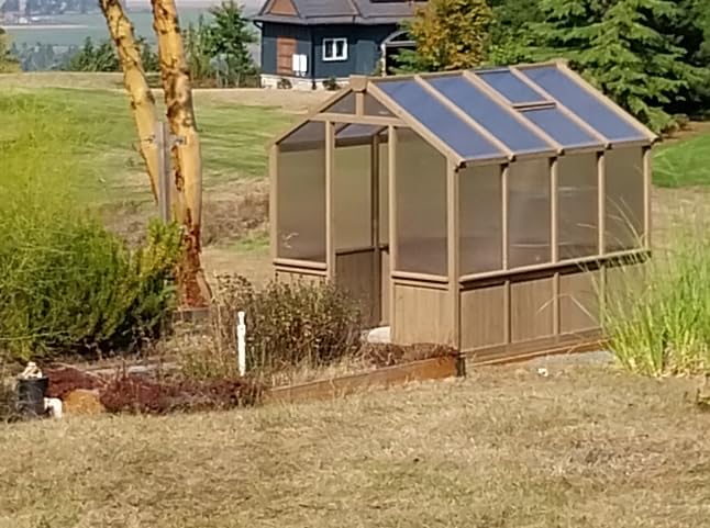 VEIKOU 6' x10' Wood Greenhouse for Outdoors with Lockable Door, Cedar Frame & Adjustable Vent, Wooden Green House with 6MM Thick Polycarbonate Panel for Garden, Yard, Light Brown Mocha customer photo 2