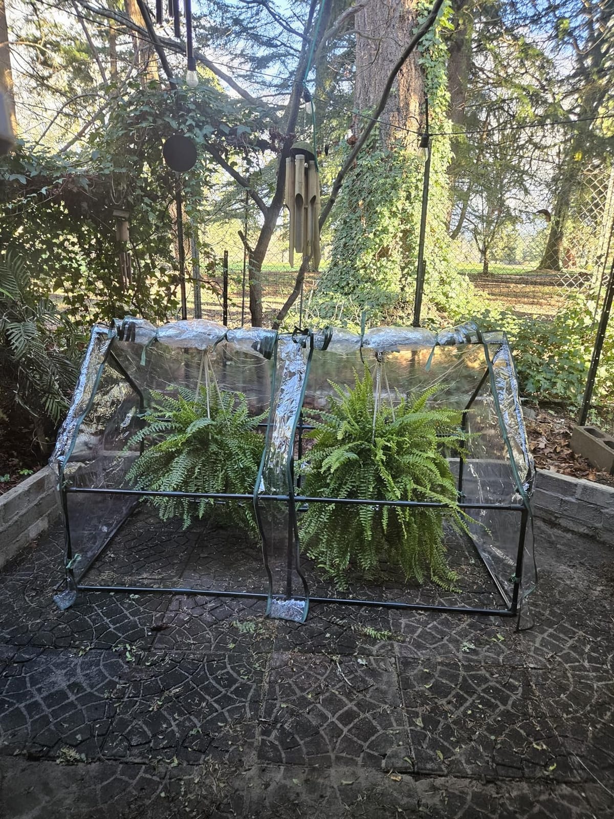 Gardzen Mini Greenhouse with Waterproof Base, 36.2