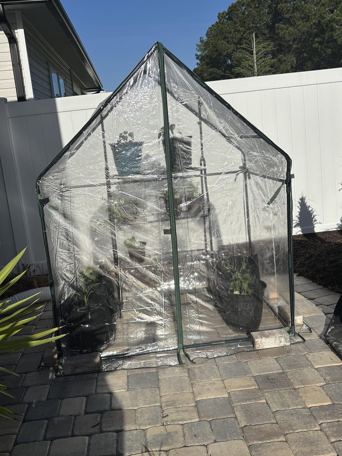 Gardzen Mini Greenhouse with Waterproof Base, 36.2