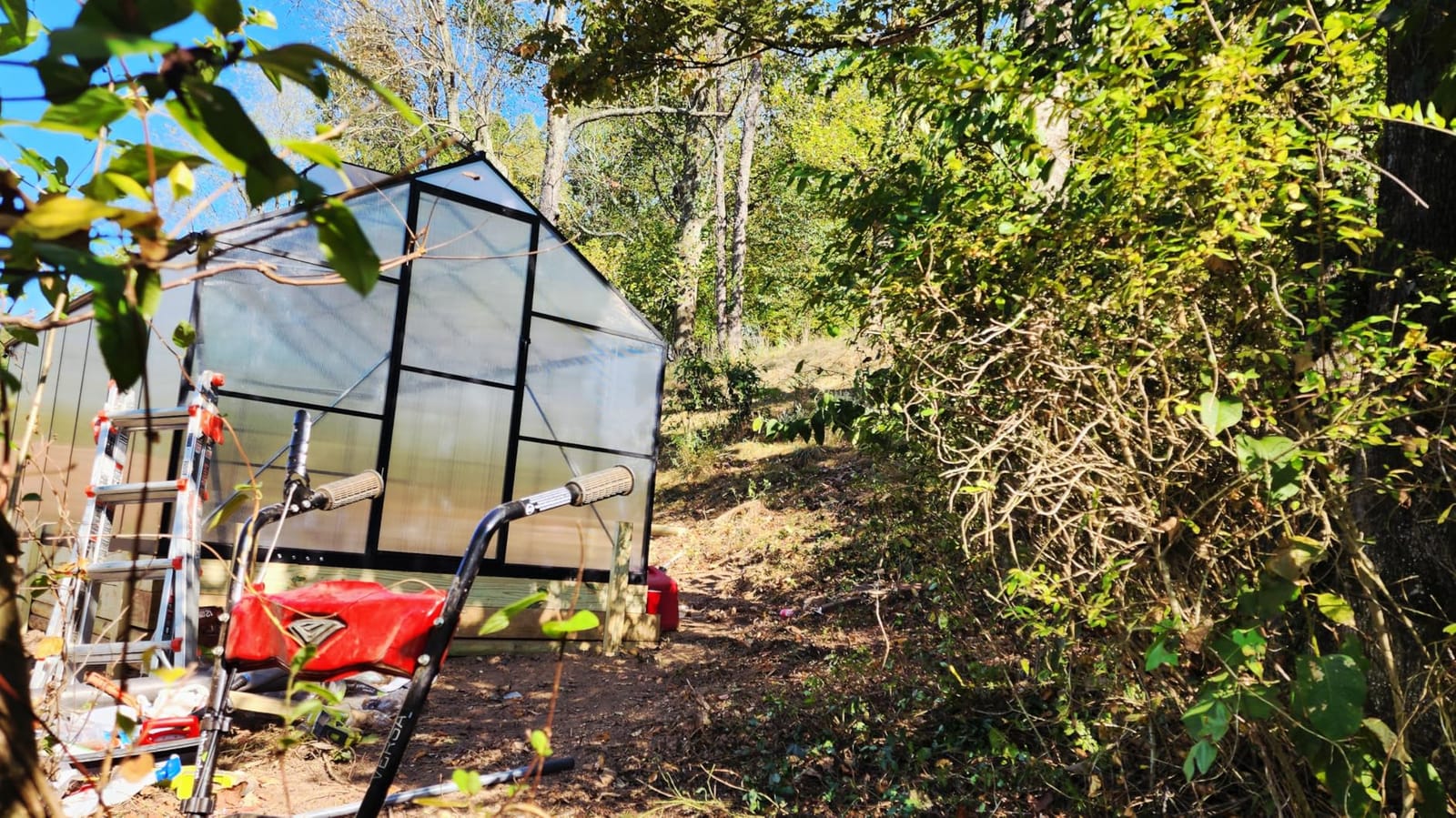 12x12 FT T-Shape Greenhouses, Polycarbonate Green House with UV Protection customer photo 2