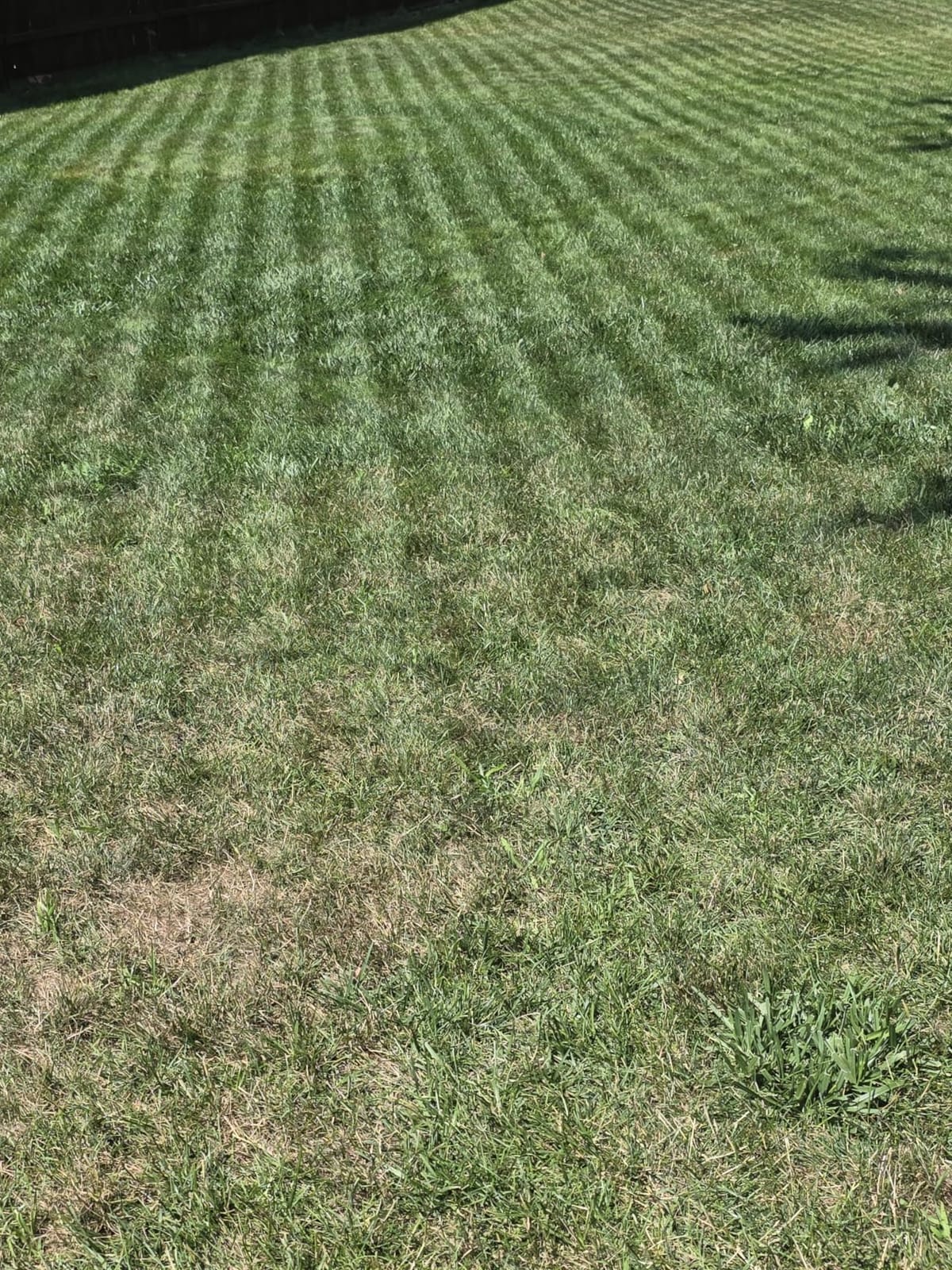 Sunseeker X5 AWD Robot Lawn Mower, RTK, Vision AI, 0.5 Acre, Wire-Free customer photo 2
