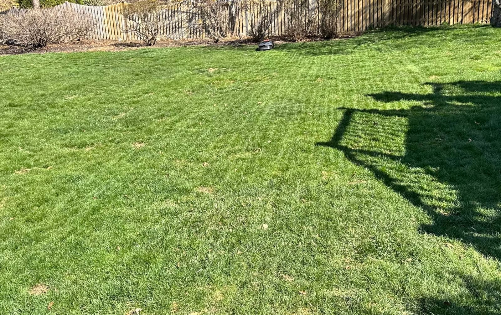 MOVA LiDAX Ultra 1000 Robot Lawn Mower Wire Free for 1/4 Acre, RTK-Free+360° 3D LiDAR+AI Vision Auto Mapping, Zero-Edge Cutting, Cutting Height 1.2