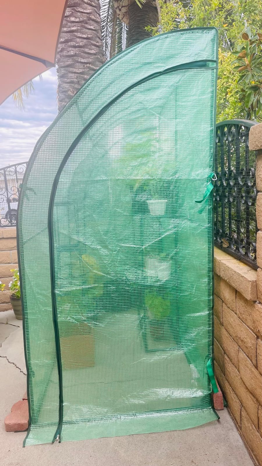 VEVOR Walk-in Greenhouse, 76.8