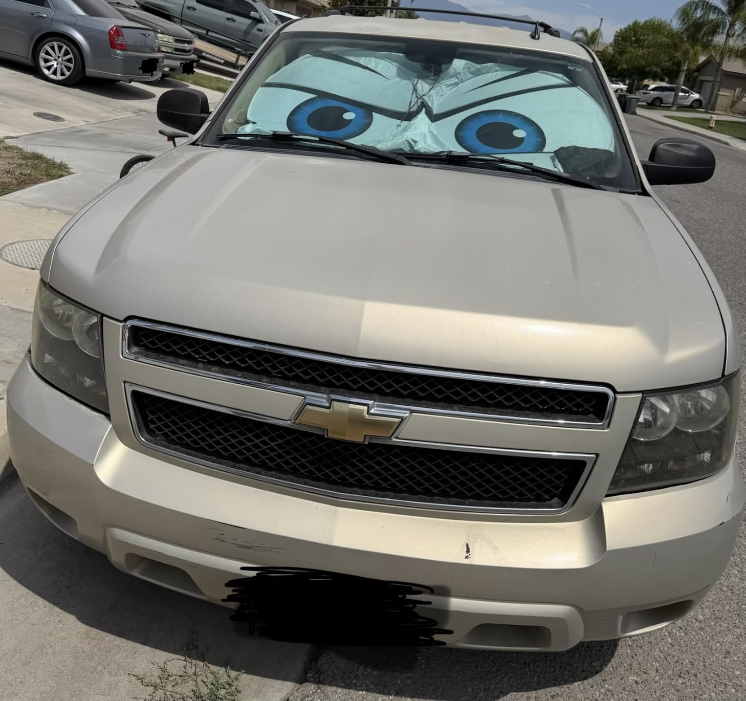 Car Windshield Sun Shade, Universal Fit Full-Size SUV Pickup, Cute Black customer photo 1