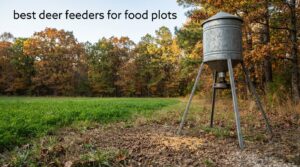 best deer feeders for food plots