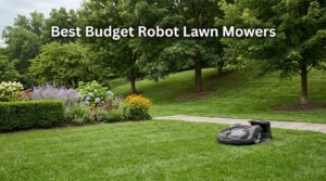 Best Budget Robot Lawn Mowers