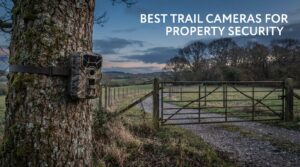 best trail cameras for property security