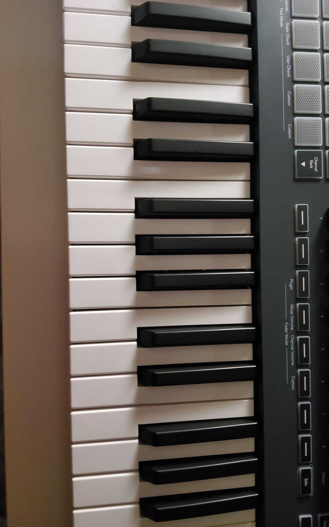 Novation FLkey 49 USB MIDI Controller Keyboard customer photo 2