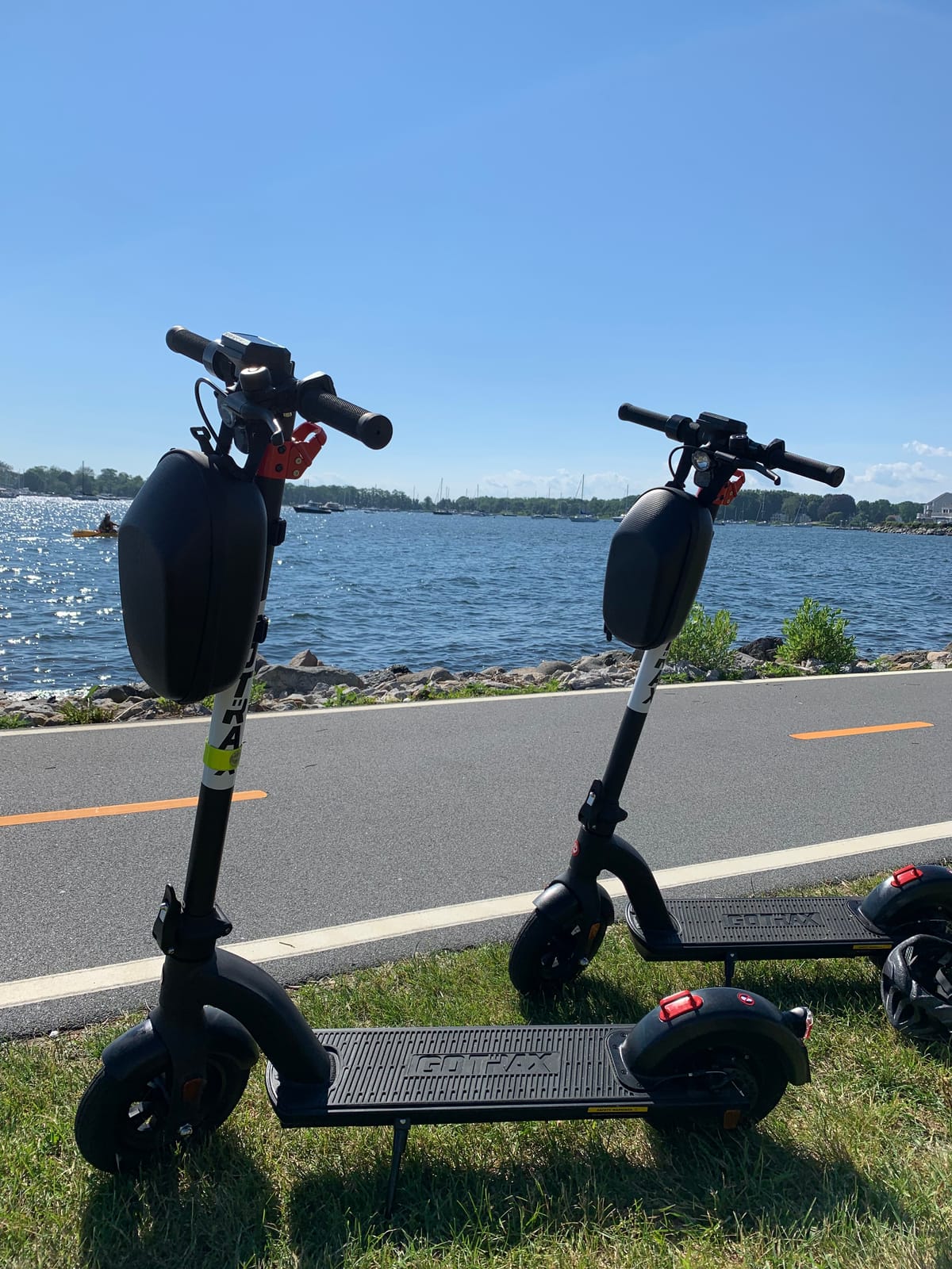 Gotrax Electric Scooter for Adult,8.5