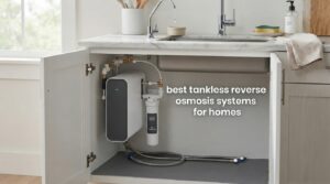 best tankless reverse osmosis systems for homes